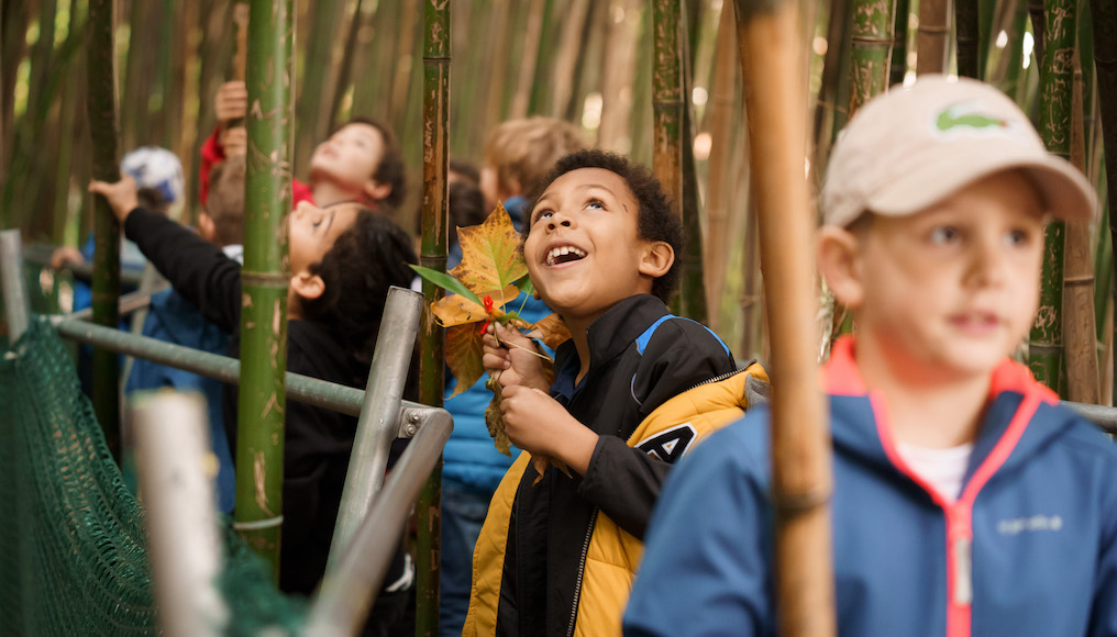 Kindergeburtstage im Botanischen Garten der Universität Wien  Mamilade Ausflugsziele