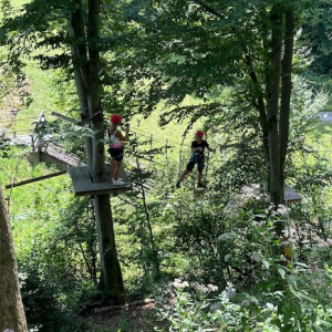 kletterpark lipizzaner piber parcours für alle schwierigkeitsgrade mamilade ausflugstipps