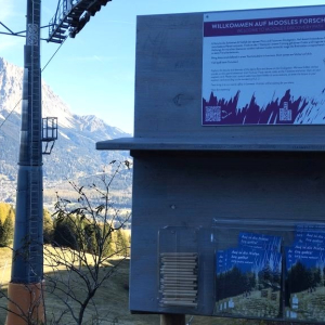 moosles forscherpfad wanderung familien lermoos ausflugstipp mamilade, wandern mit kindern tirol