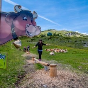 Zauchensee, KUHparKUHr »Kuh-Balanceakt« 