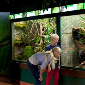 Haus Der Natur Museum Fur Natur Und Technik Mamilade Ausflugsziele