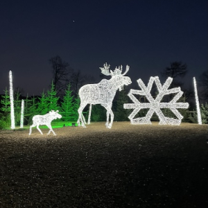 eis greissler lichterglanz spektakel lichtskulpturen mamilade ausflugstipps