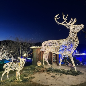 eis greissler lichterglanz spektakel lichtinstallationen mamilade ausflugstipps