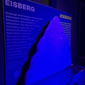 eisberg ausstellung immersium wien planet der tiere mamilade ausflugstipps