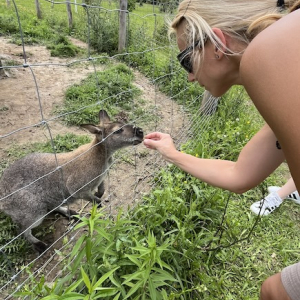 freizeitpark lutzmannsburg kaenguru fuettern mamilade ausflugstipps