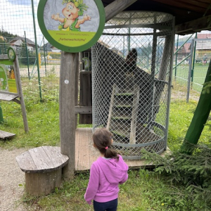 pirkers natur und biofamilienhotel katschhausen raetselspass mamilade ausflugstipps