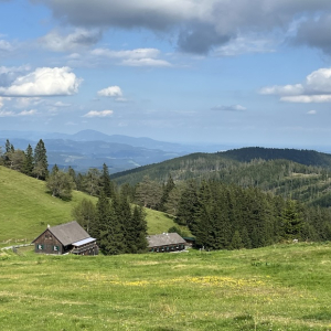 stubalm lipizzaner piber mamilade ausflugstipps