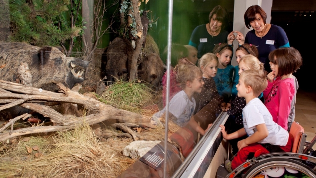 kindergeburtstag feiern landesmuseum burgenland eisenstadt ausflugstipp mamilade