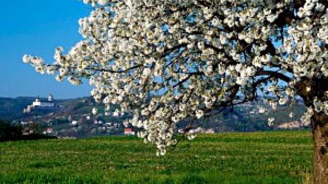 naturpark rosalia kogelberg ausflugstipp mamilade