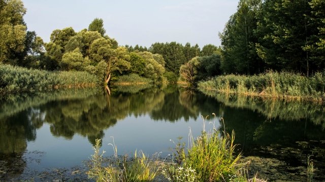 naturlehrpfad obere lobau wien ausflugstipp mamilade