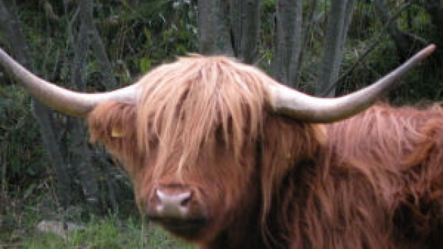 wildpark almdorf lungau ausflugstipp mamilade